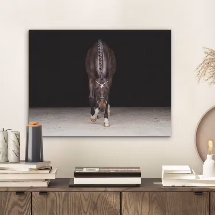 Paard - Modern - Portret PET vilt klein -sfeer1