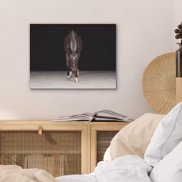 Paard - Modern - Portret PET vilt klein -sfeer3