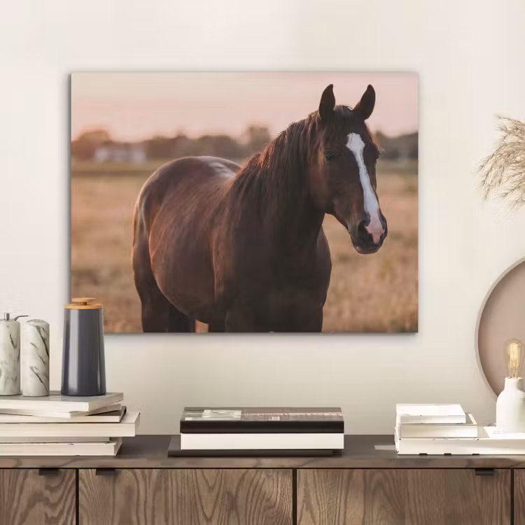 Paard - Zonsondergang - Bruin PET vilt klein -sfeer1