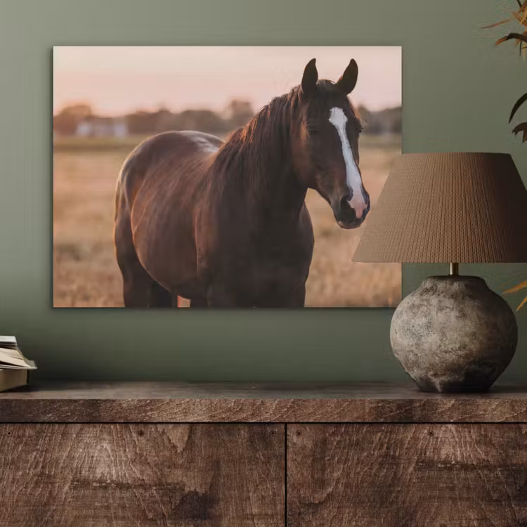 Paard - Zonsondergang - Bruin PET vilt klein -sfeer2