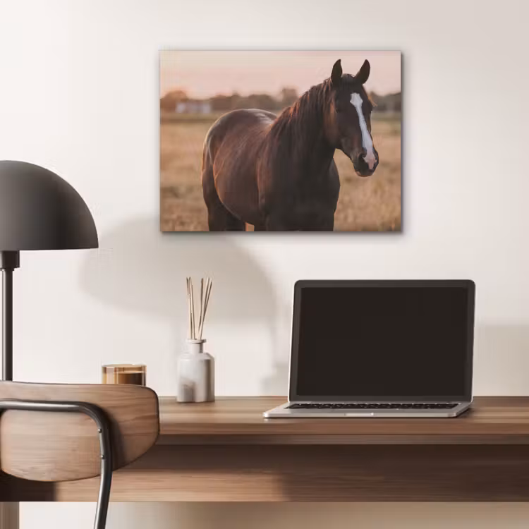 Paard - Zonsondergang - Bruin PET vilt klein -sfeer5
