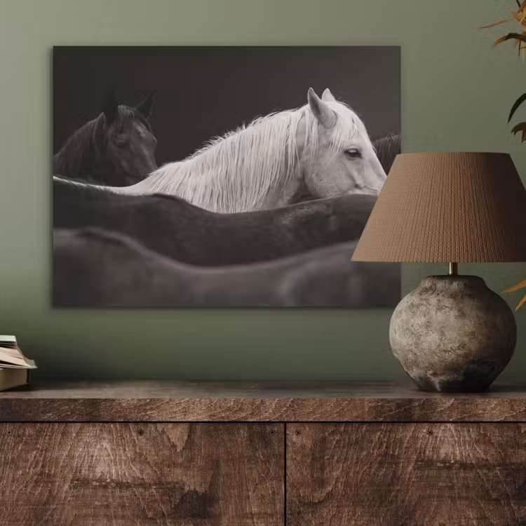 Paarden - Zwart - Wit - Kudde PET vilt klein -sfeer2