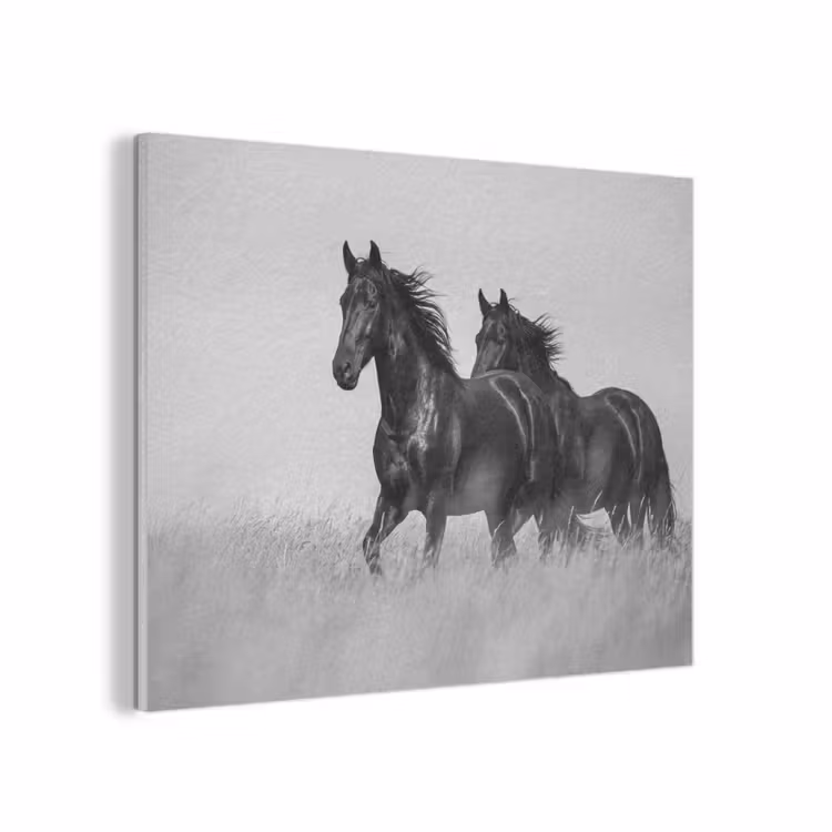 Paarden - Gras - Zwart - Wit PET vilt klein -3d