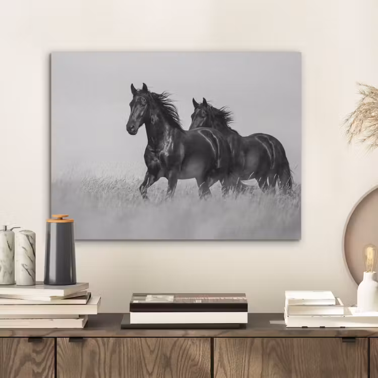 Paarden - Gras - Zwart - Wit PET vilt klein -sfeer1