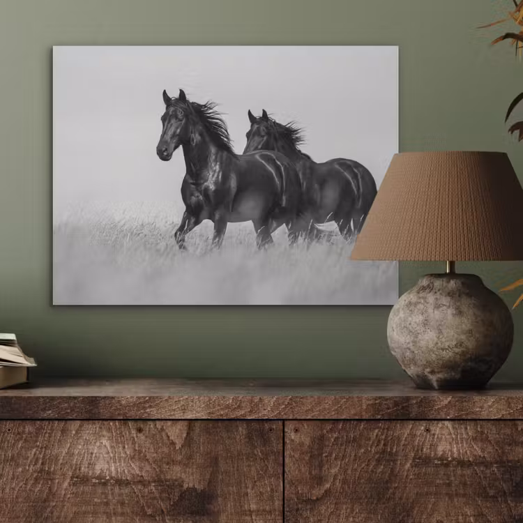 Paarden - Gras - Zwart - Wit PET vilt klein -sfeer2