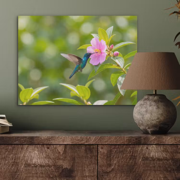 Kolibrie - Bloem - Natuur - Groen PET vilt klein -sfeer2