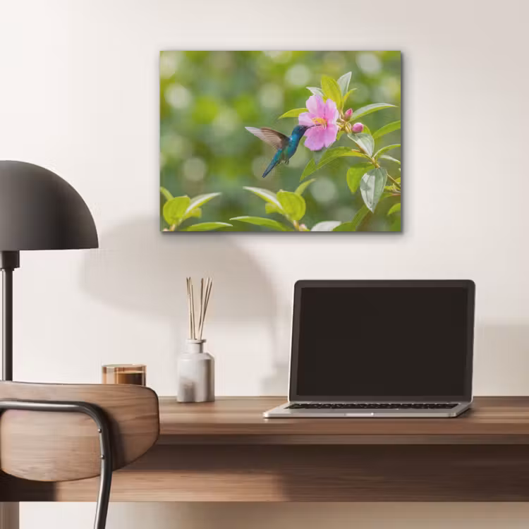 Kolibrie - Bloem - Natuur - Groen PET vilt klein -sfeer5