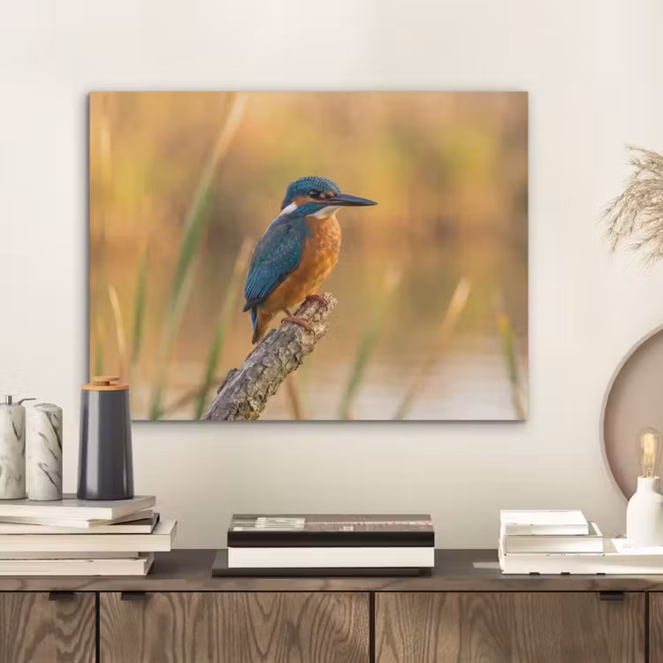 IJsvogel - Tak - Water - Kleurrijk - Levendig PET vilt klein -sfeer1