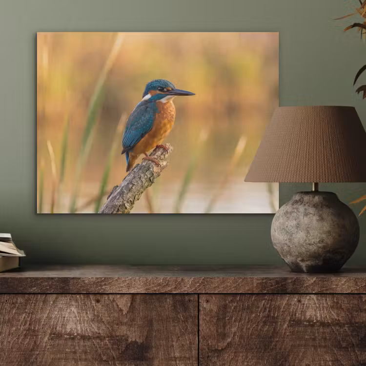 IJsvogel - Tak - Water - Kleurrijk - Levendig PET vilt klein -sfeer2