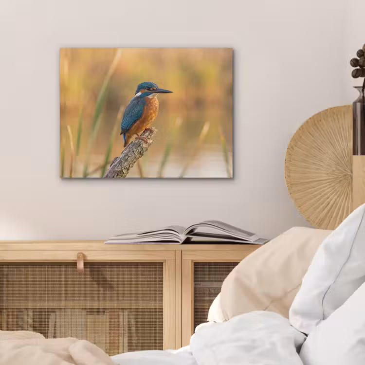 IJsvogel - Tak - Water - Kleurrijk - Levendig PET vilt klein -sfeer3