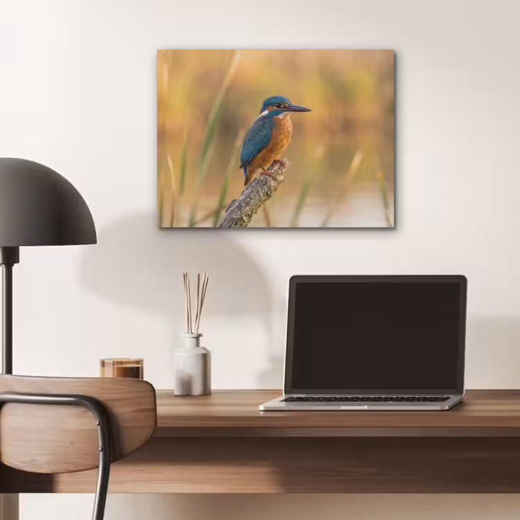 IJsvogel - Tak - Water - Kleurrijk - Levendig PET vilt klein -sfeer5