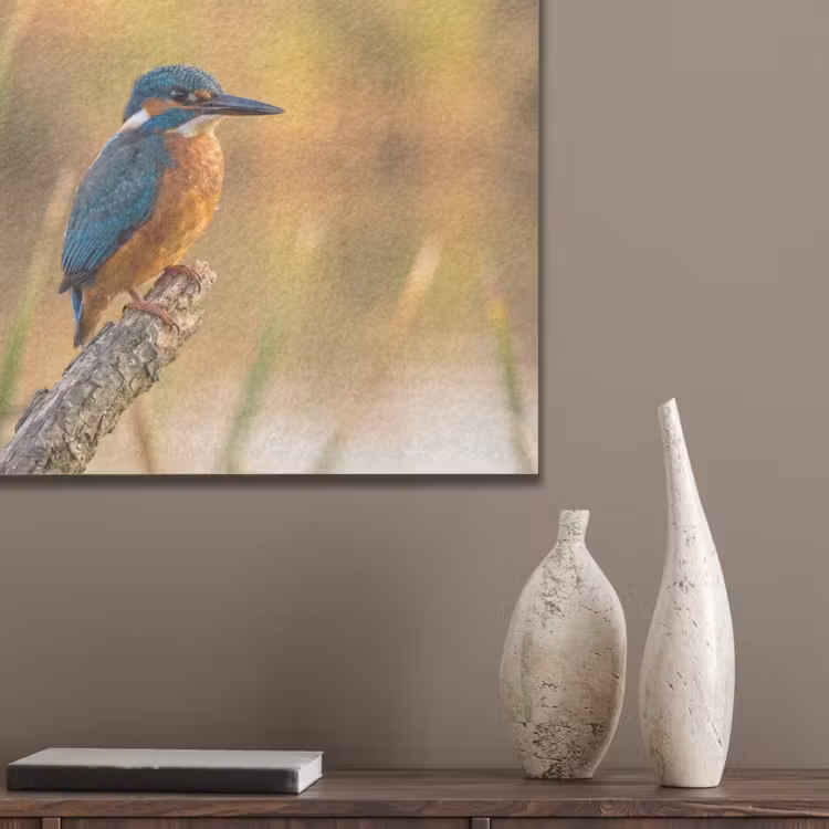 IJsvogel - Tak - Water - Kleurrijk - Levendig PET vilt klein -sfeer6_closeup