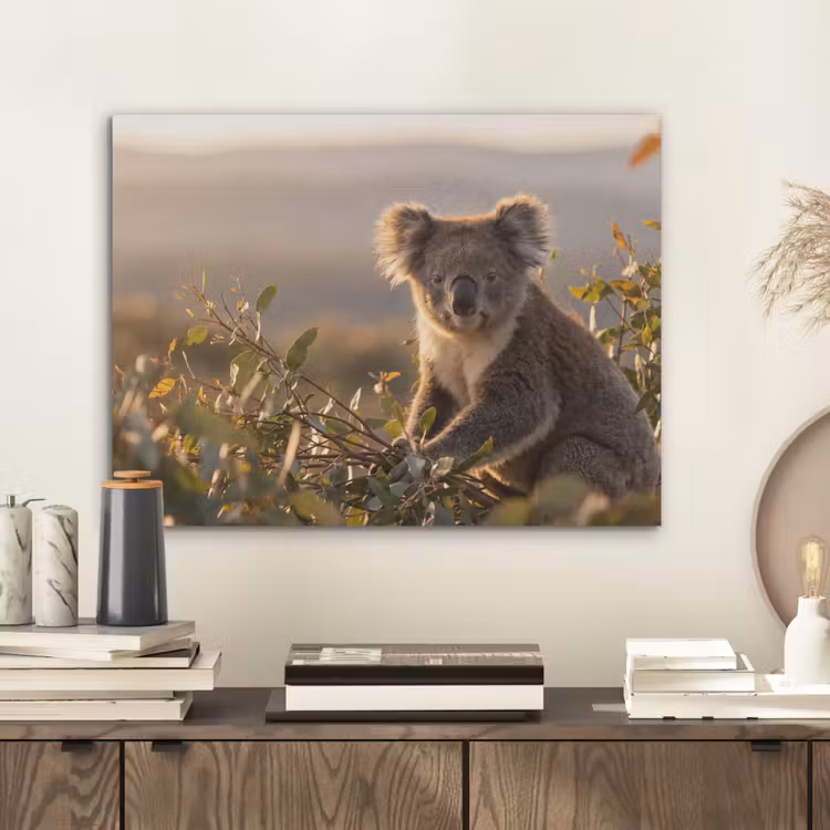Koala - Bladeren - Ochtendlicht PET vilt klein -sfeer1