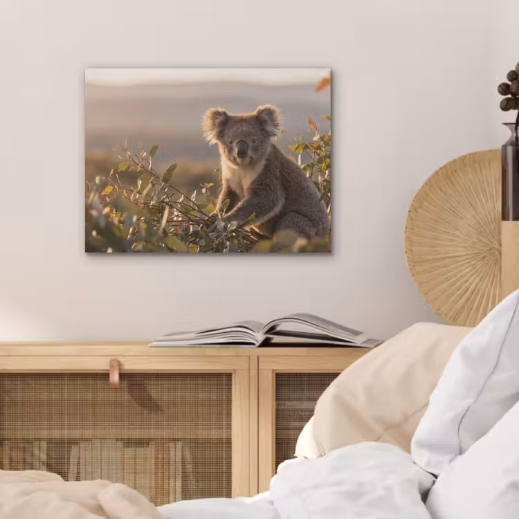Koala - Bladeren - Ochtendlicht PET vilt klein -sfeer3