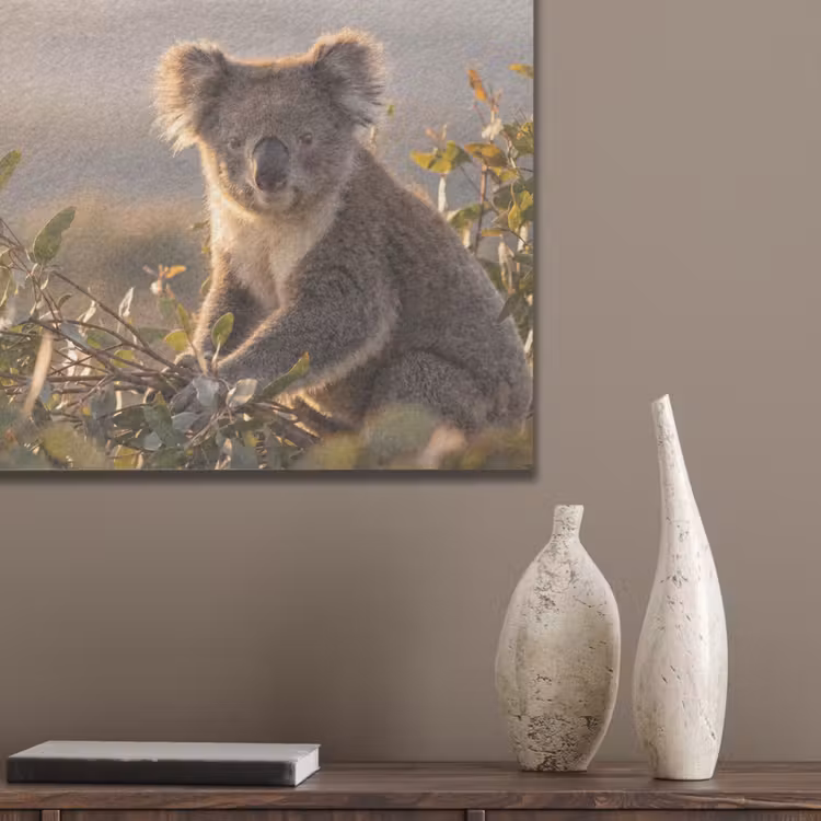 Koala - Bladeren - Ochtendlicht PET vilt klein -sfeer6_closeup