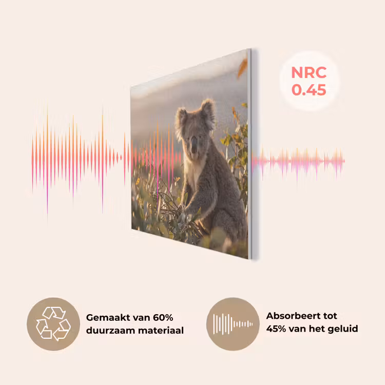 Koala - Bladeren - Ochtendlicht PET vilt klein -USP_NL