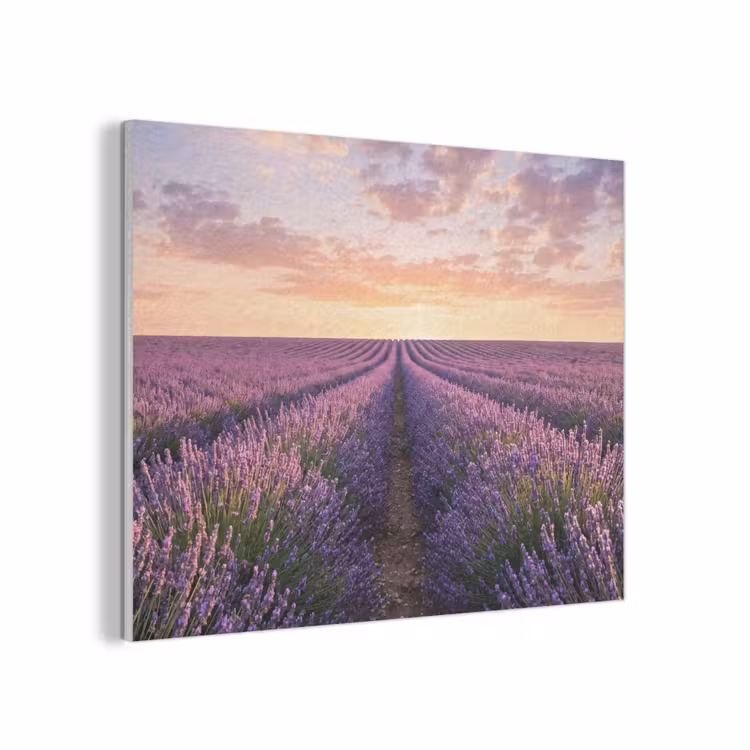 Landschap - Lavendelveld - Paars PET vilt klein -3d