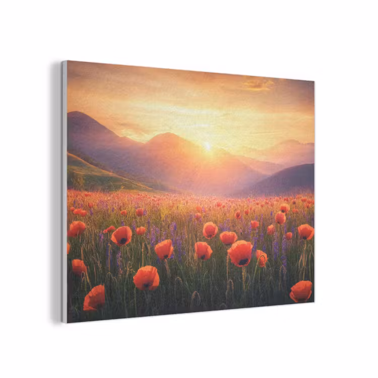 Landschap - Zonsondergang - Bloemenveld PET vilt klein -3d