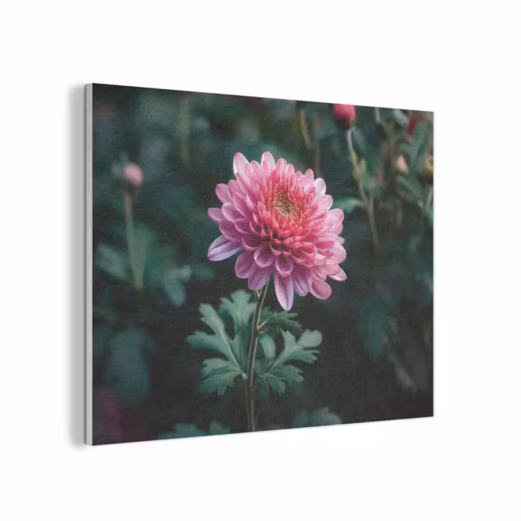 Blad - Chrysant - Roze - Schaduw PET vilt klein -3d