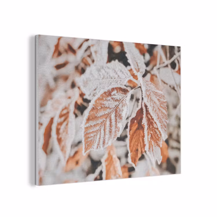 Bladeren - IJs - Winter - Natuur PET vilt klein -3d