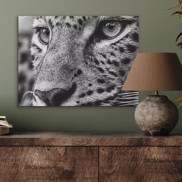 Luipaard - Zwart - Wit - Oog PET vilt klein -sfeer2