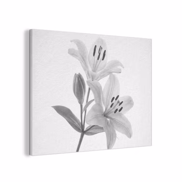 Lelies - Elegant - Zwart - Wit PET vilt klein -3d