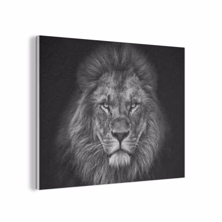 Leeuw - Dieren - Zwart - Wit PET vilt klein -3d