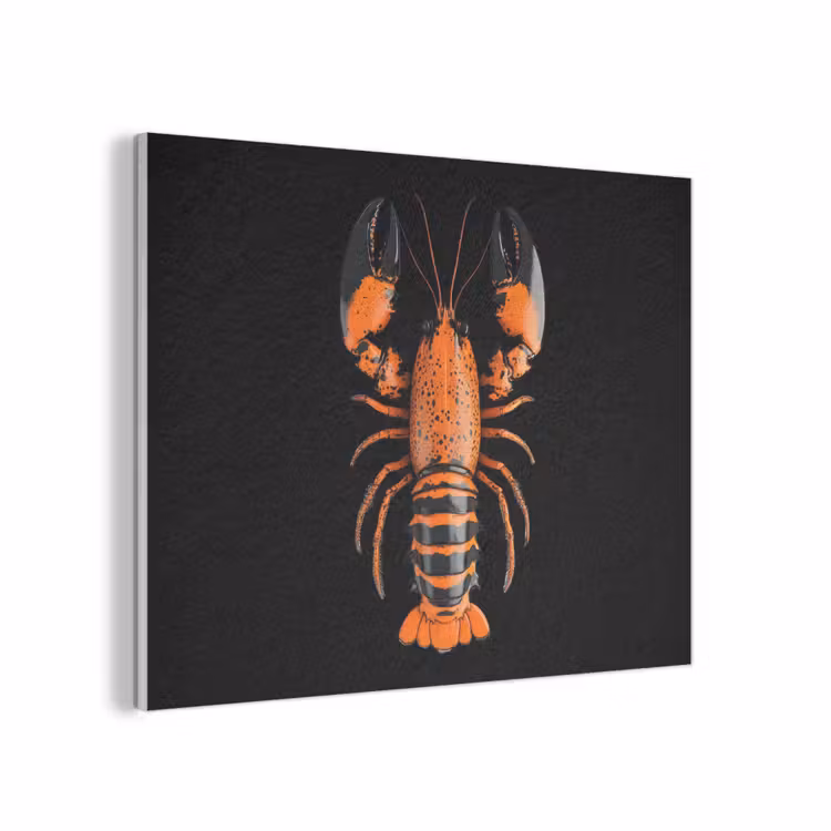 Kreeft - Oranje - Zwart - Modern PET vilt klein -3d