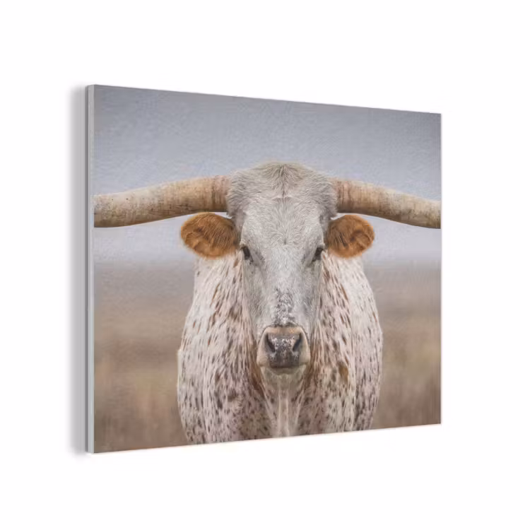 Longhorn - Grasveld - Dier PET vilt klein -3d