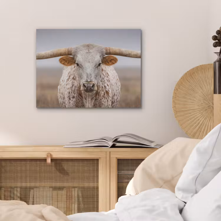 Longhorn - Grasveld - Dier PET vilt klein -sfeer3