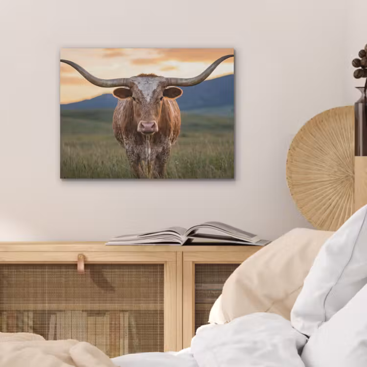 Longhorn - Landschap - Zonsondergang PET vilt klein -sfeer3