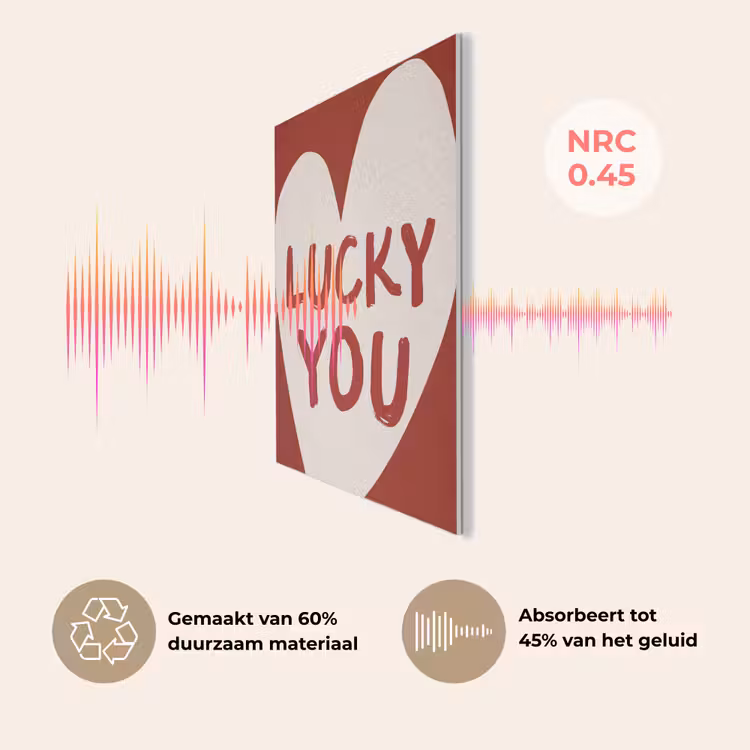 Lucky - Hart - Rood PET vilt klein -USP_NL