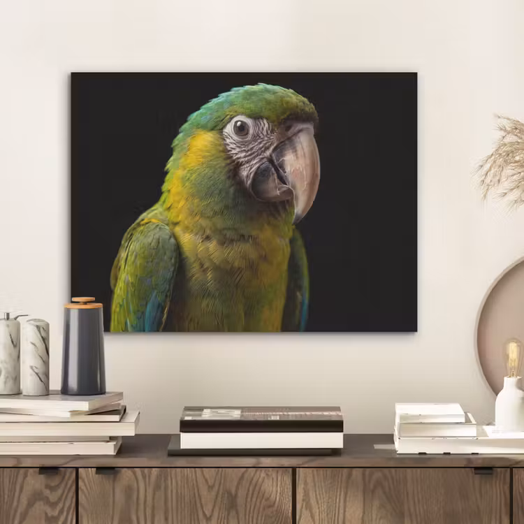Ara - Portret - Groen PET vilt klein -sfeer1