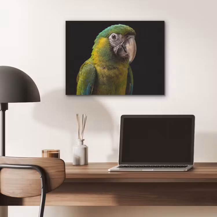 Ara - Portret - Groen PET vilt klein -sfeer5