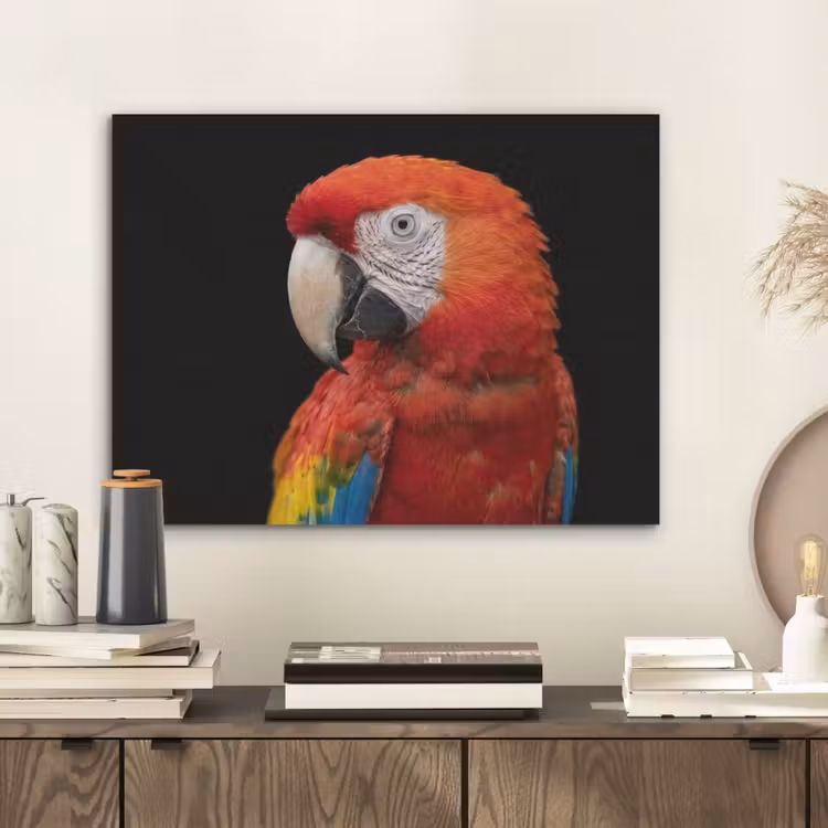 Ara - Portret - Rood PET vilt klein -sfeer1