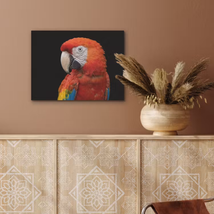 Ara - Portret - Rood PET vilt klein -sfeer4
