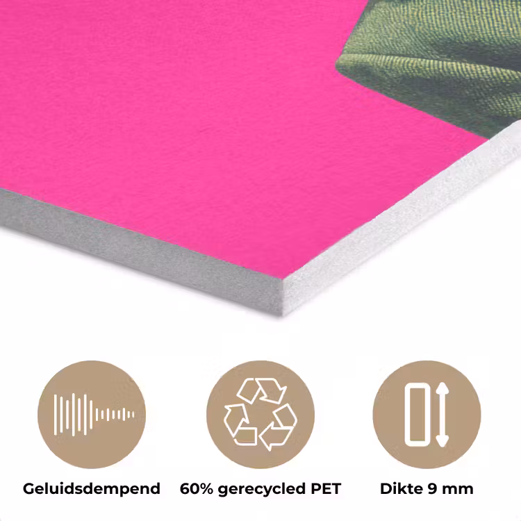 Man - Pak - Wolk - Roze PET vilt klein -closeup_NL