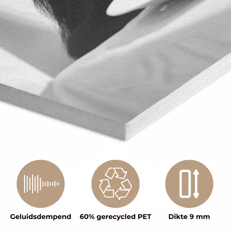 Aap - Spaghetti - Zonnebril - Zwart wit - Cool - Dier PET vilt klein -closeup_NL