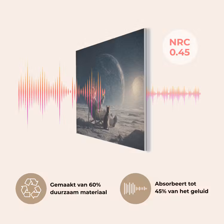Maan - Kat - Astronaut - Ruimte PET vilt klein -USP_NL