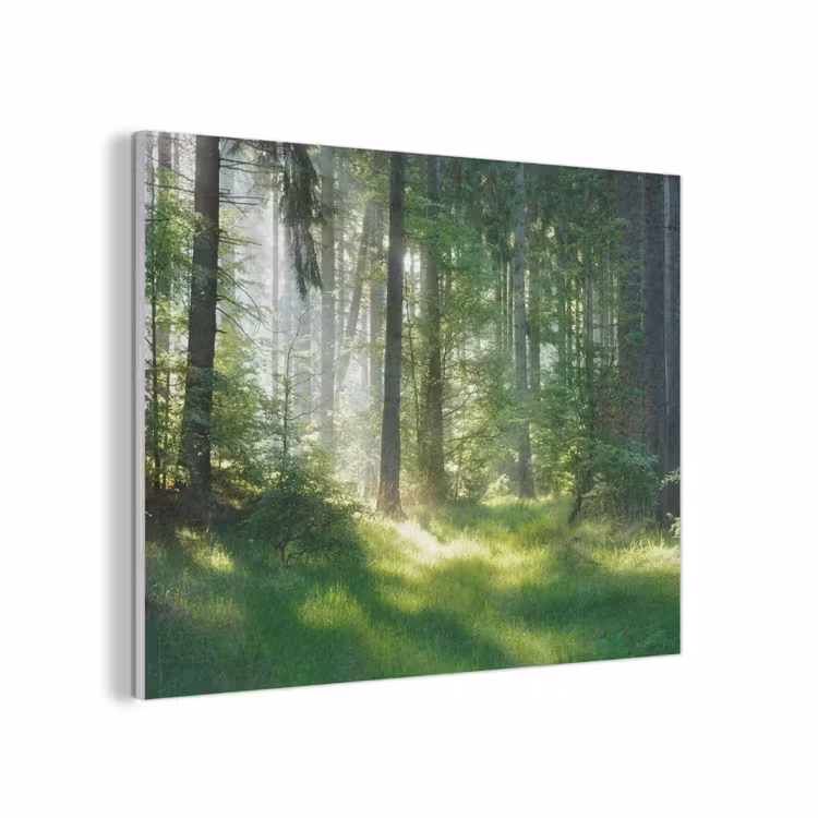 Natuur - Bomen - Bos - Groen - Zon - Gras - Planten PET vilt klein -3d