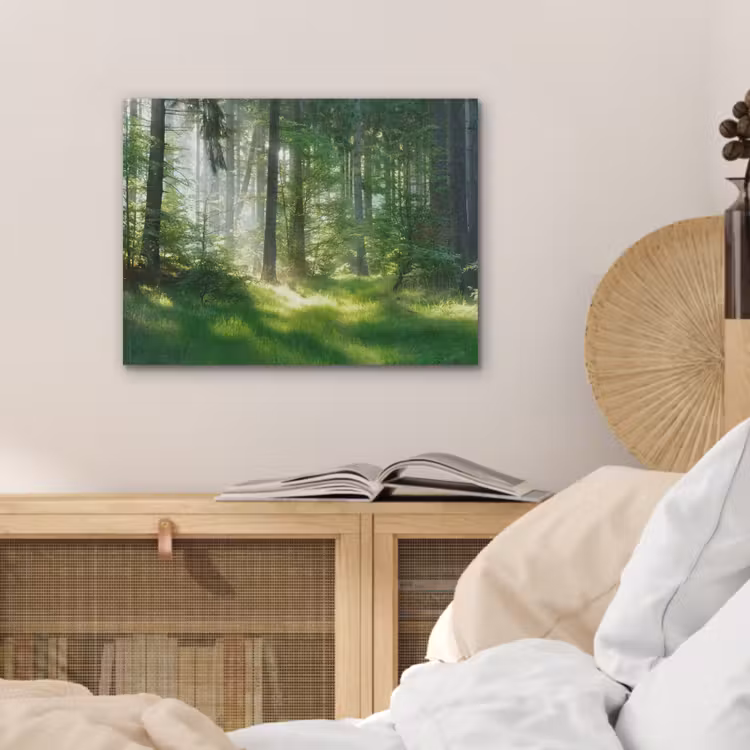 Natuur - Bomen - Bos - Groen - Zon - Gras - Planten PET vilt klein -sfeer3