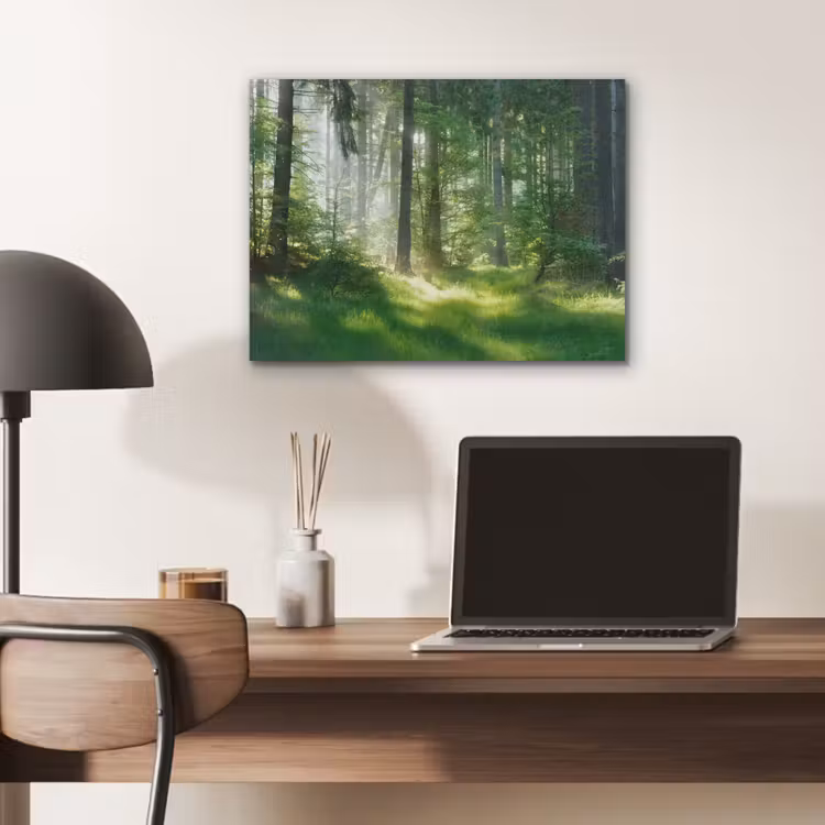 Natuur - Bomen - Bos - Groen - Zon - Gras - Planten PET vilt klein -sfeer5