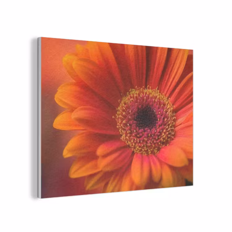 Oranje - Gerbera - Intens PET vilt klein -3d