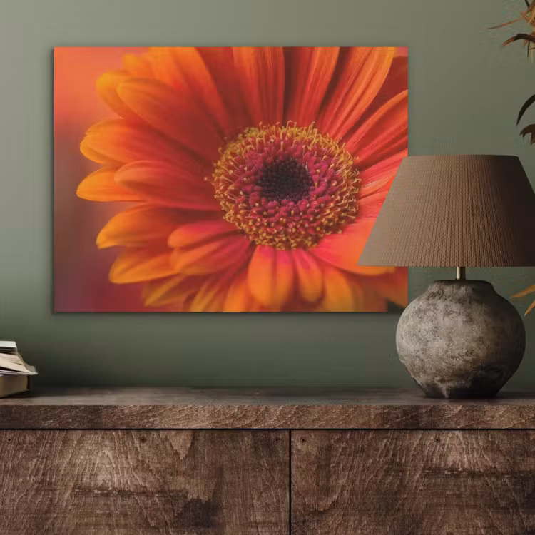 Oranje - Gerbera - Intens PET vilt klein -sfeer2