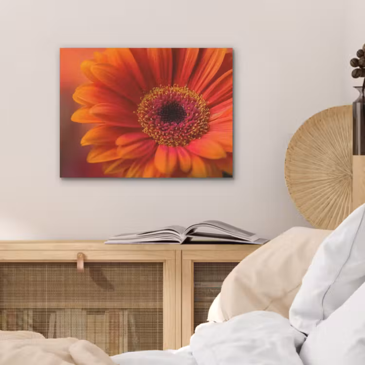 Oranje - Gerbera - Intens PET vilt klein -sfeer3