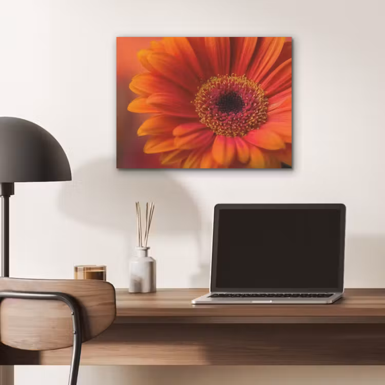 Oranje - Gerbera - Intens PET vilt klein -sfeer5