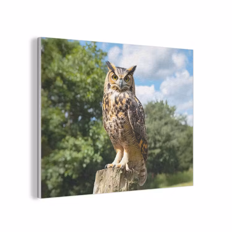 Uil - Boomstronk - Bos - Lucht PET vilt klein -3d
