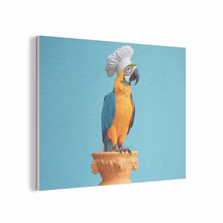 Papegaai - Koksmuts - Grappig - Vogel PET vilt klein -3d