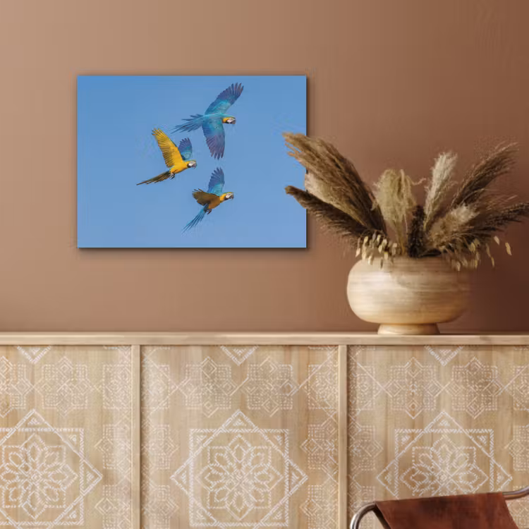 Papagaai - Vliegen - Blauw - Geel PET vilt klein -sfeer4