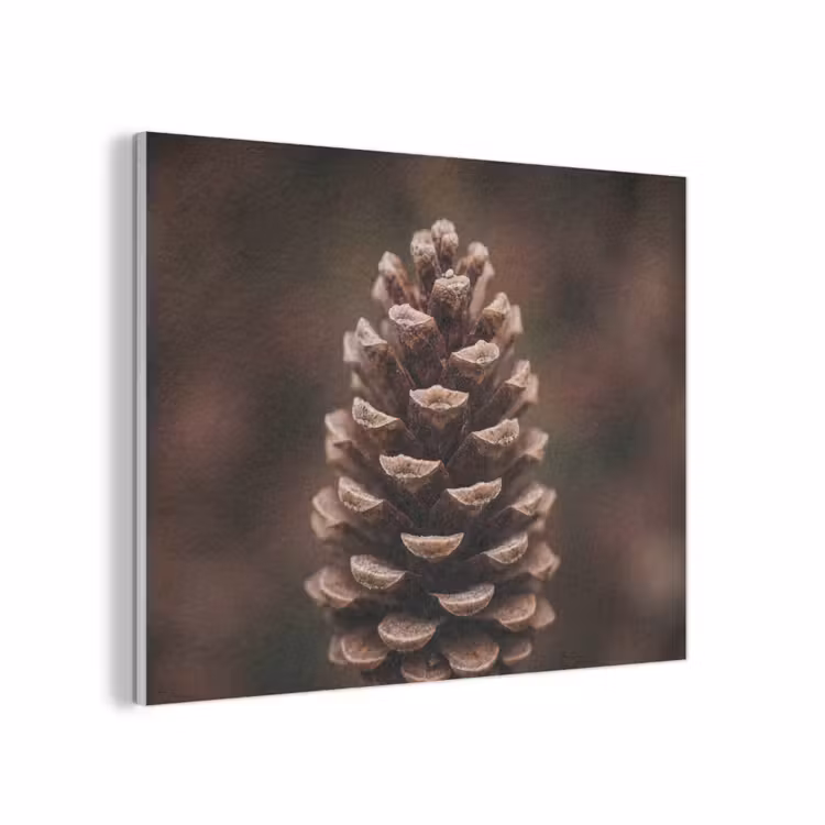 Dennenappel - Bos - Herfst - Bruin - Sfeervol PET vilt klein -3d